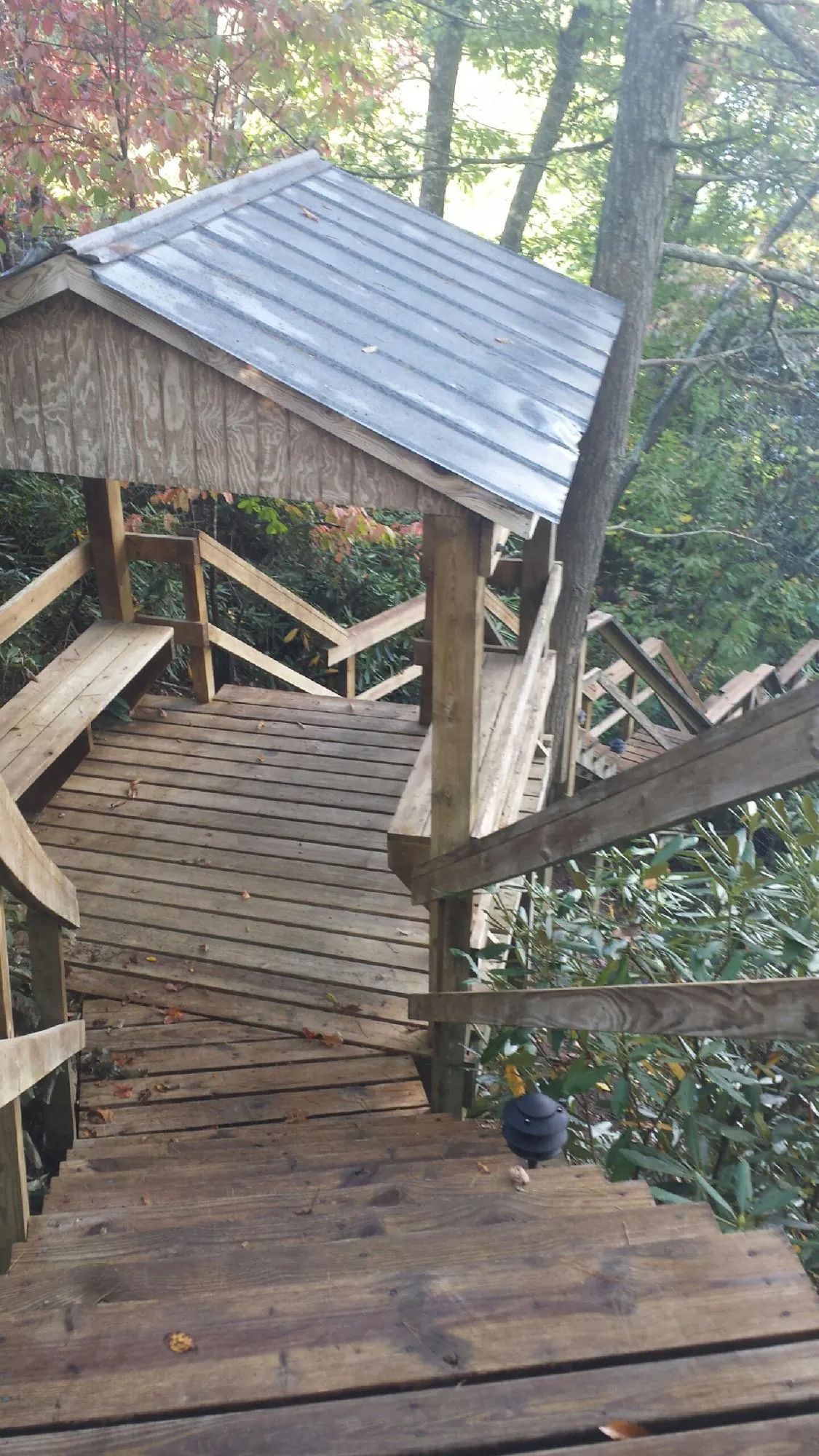 Metal roofed shelter over wooden steps on a wooded walkway — Skylight Repair & Installation work by our crew in Collbran