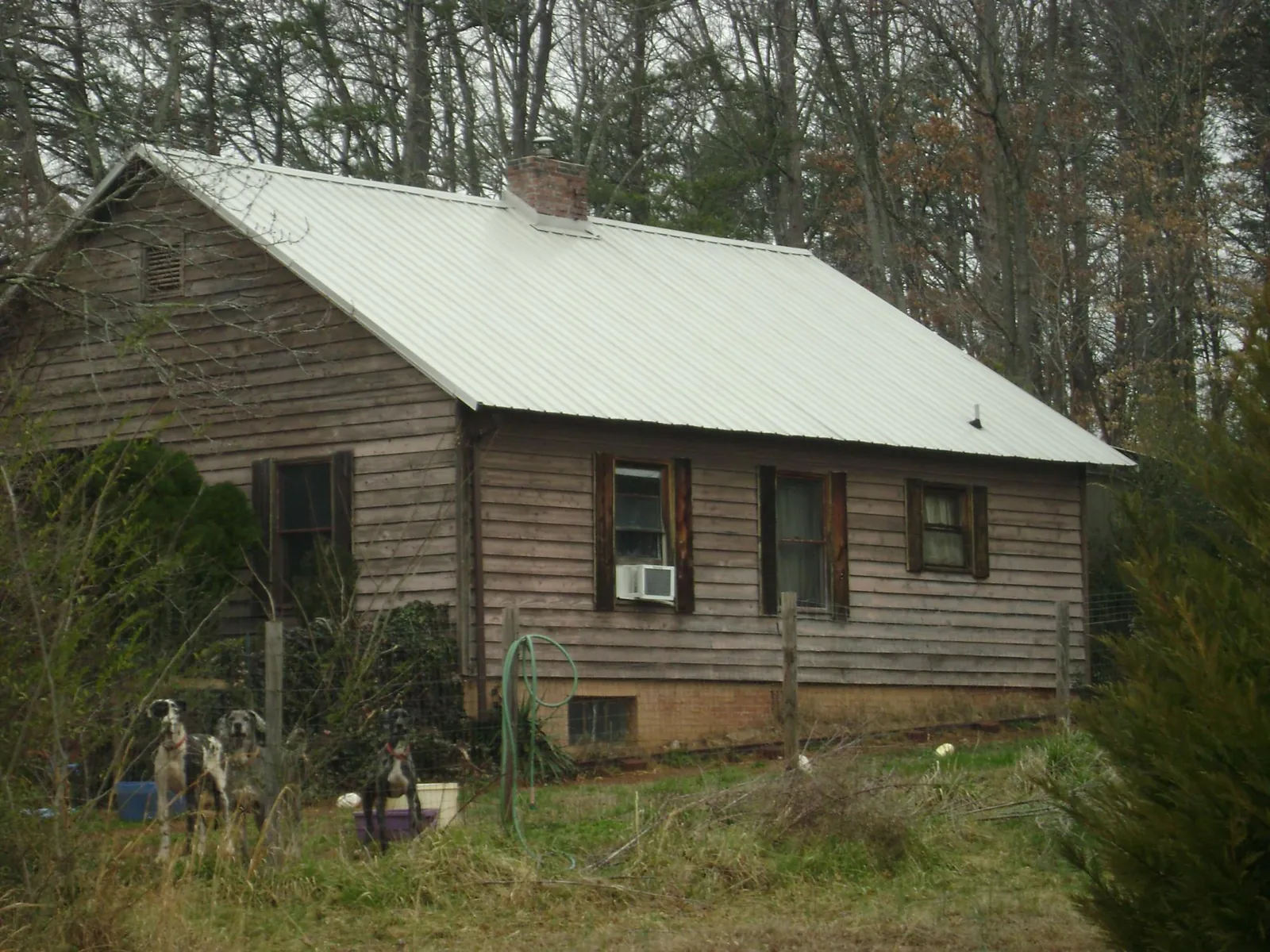 White metal roof on an old wood sided farmhouse, from a Asphalt Shingle Roof Repair job in Collbran
